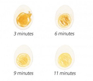 egg-times