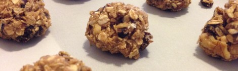 Oatmeal Raisin Bites